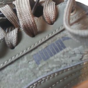 Puma shoes